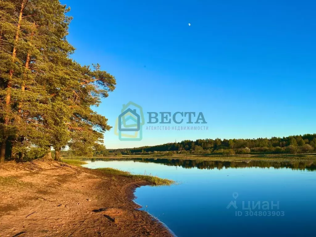 Участок в Ленинградская область, Лужский район, Толмачевское городское ... - Фото 0