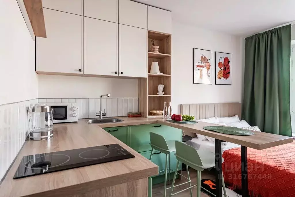 Студия Московская область, Одинцово ул. Каштановая, 16 (25.0 м) - Фото 2