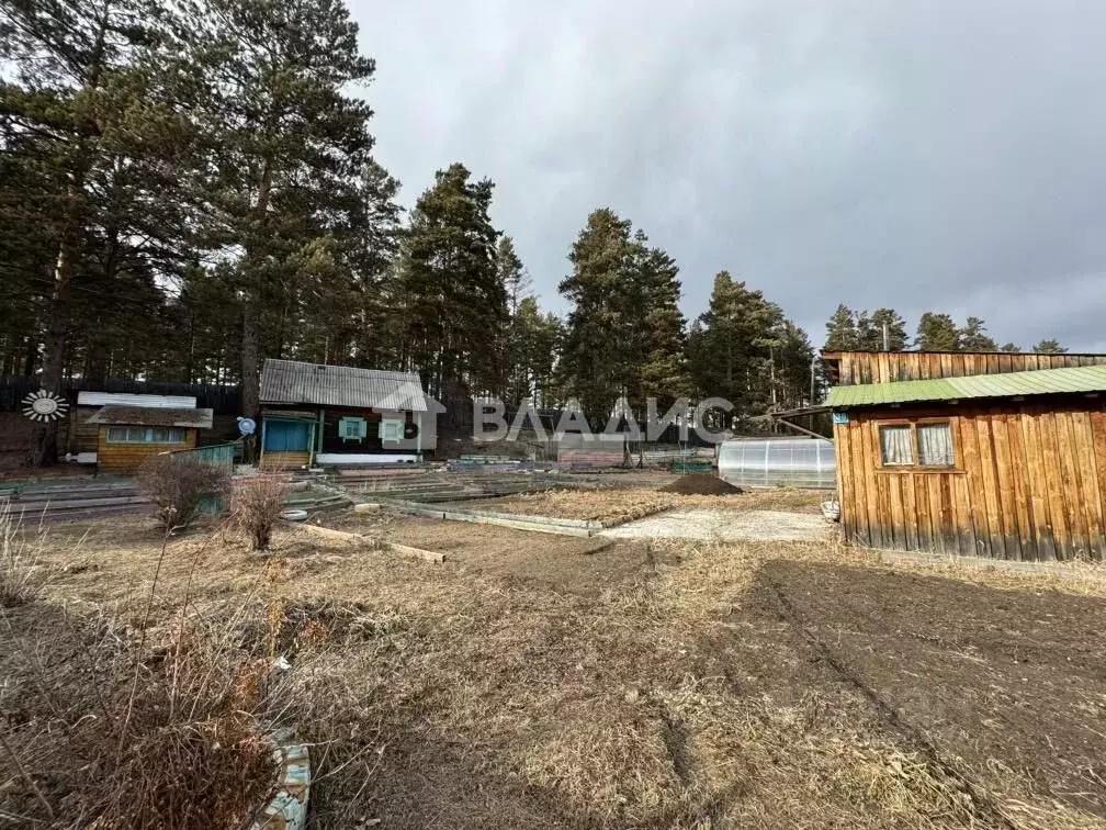 Дом в Забайкальский край, Читинский район, Лесной СНТ ул. Кедровая (20 ... - Фото 1