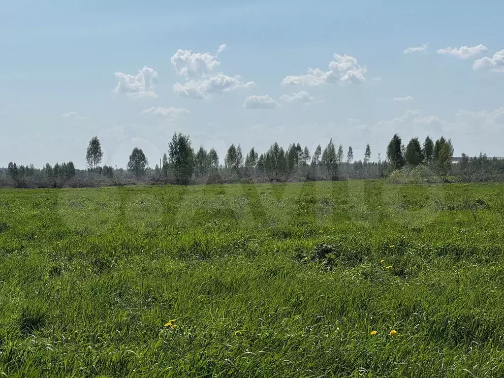 Участок 12 сот. (ИЖС) - Фото 1