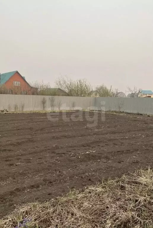 Участок в Тюменская область, Тюмень Степное садовое товарищество, ул. ... - Фото 1