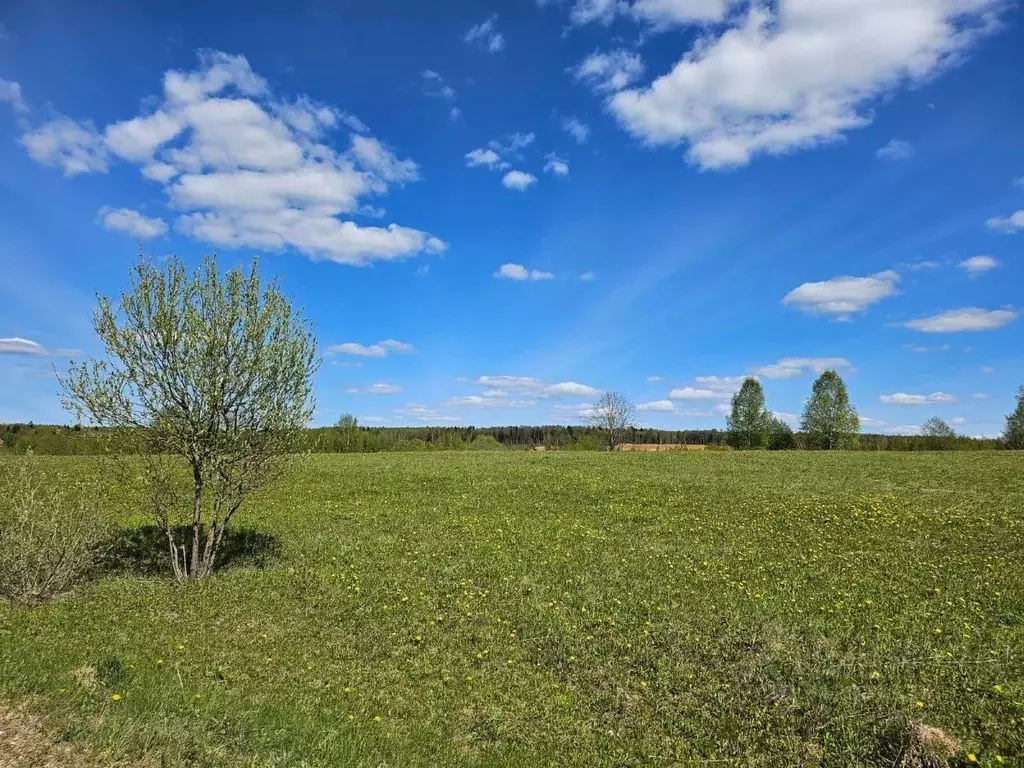 Участок в Владимирская область, Александровский район, ... - Фото 0