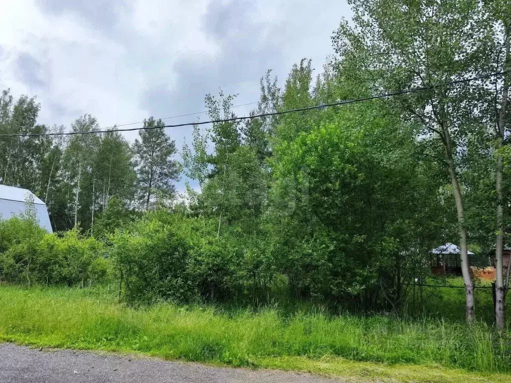 Участок в Московская область, Щелково городской округ, Комета СПК ул. ... - Фото 0