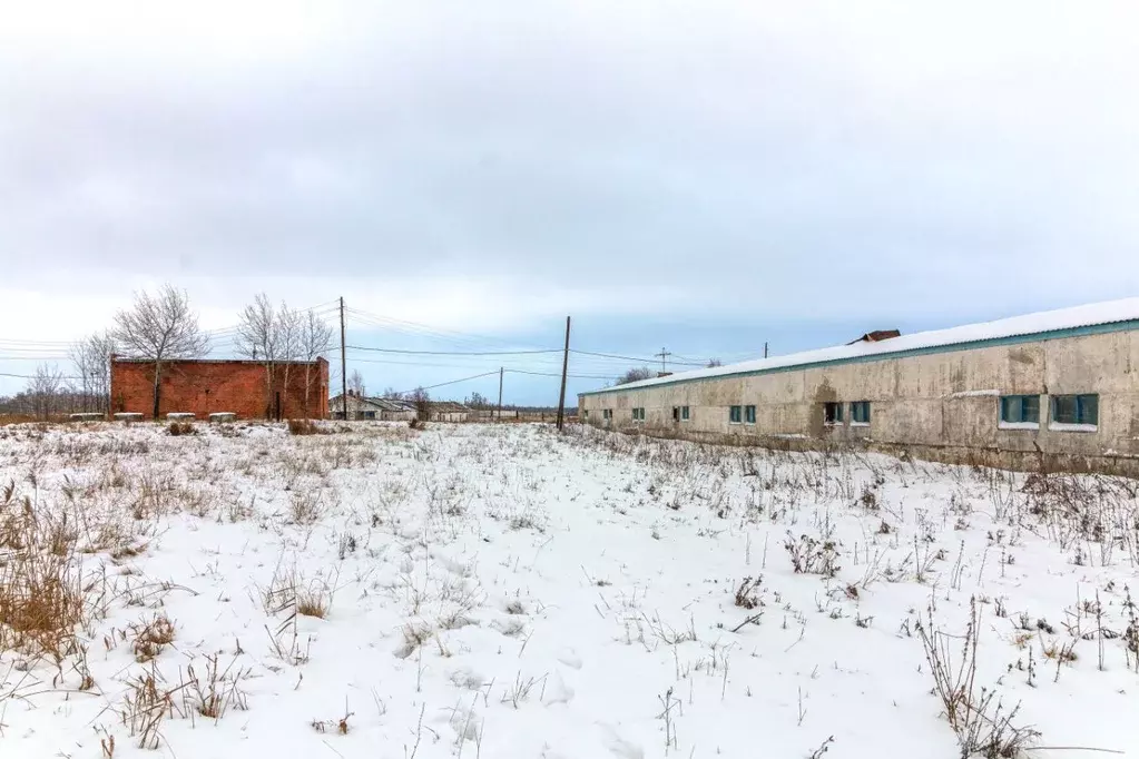 помещение свободного назначения в омская область, горьковский район, . - Фото 0