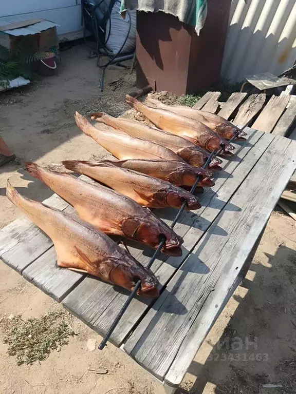 Дом в Астраханская область, Харабалинский район, Сазаний Угол хут.  ... - Фото 2