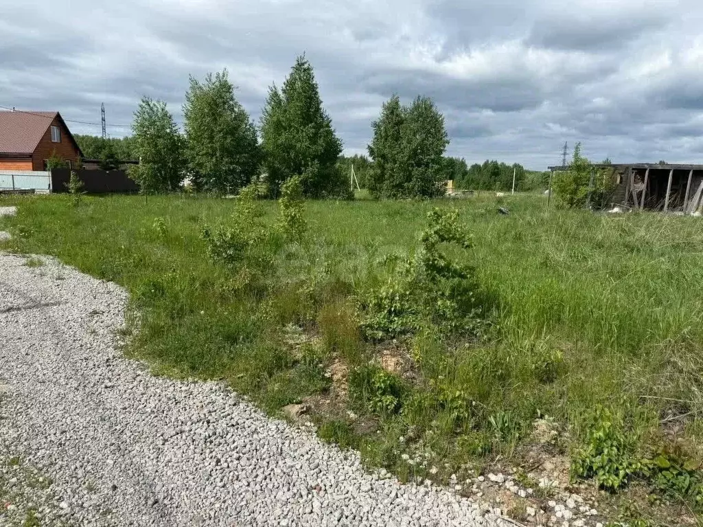 Участок в Новосибирская область, Новосибирский район, Станционный ... - Фото 1