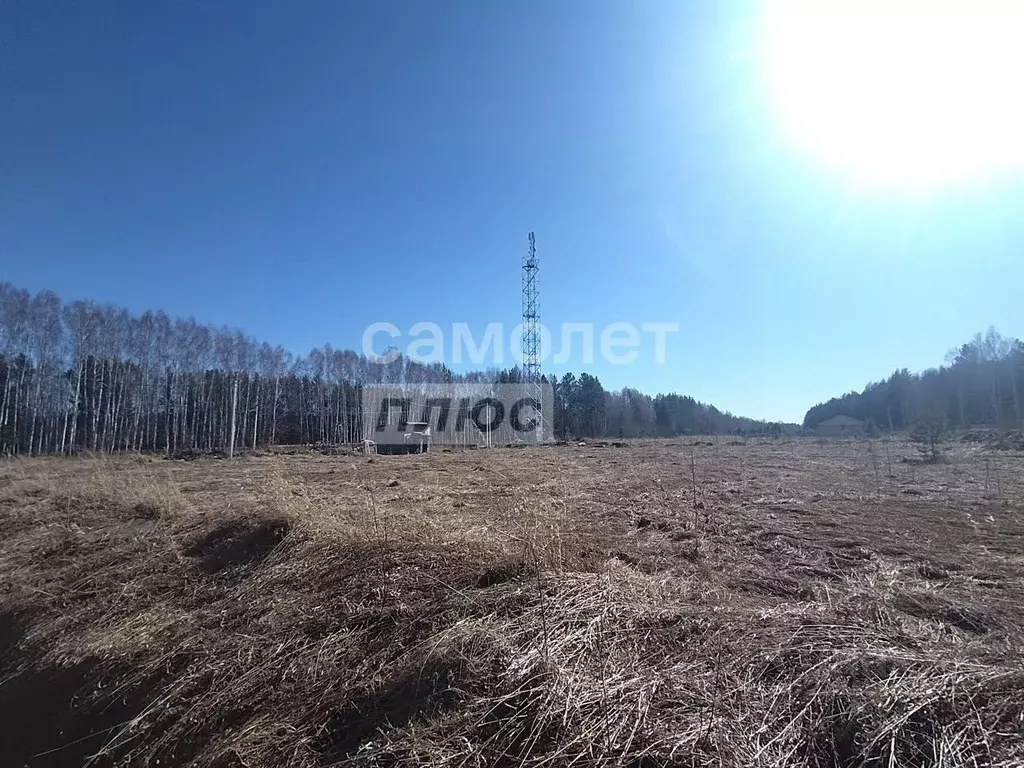 Участок в Свердловская область, Полевской муниципальный округ, с. ... - Фото 2