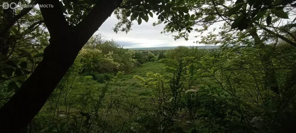 Участок в станица Рождественская, Горная улица, 16 (11.35 м) - Фото 1