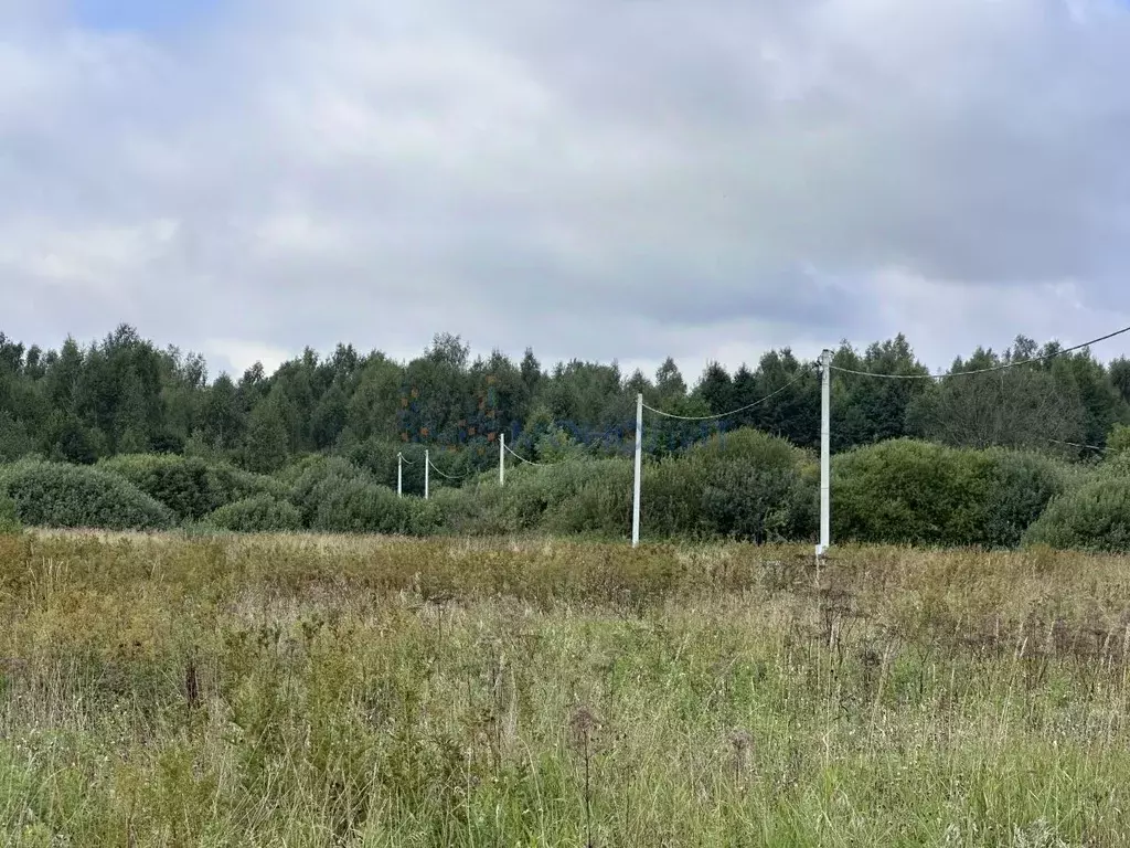Участок в Нижегородская область, Богородский муниципальный округ, д. ... - Фото 1