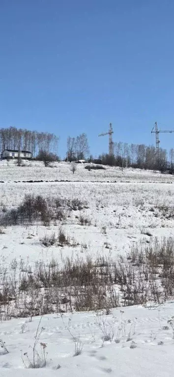 Участок в Курская область, Курский район, Нижнемедведицкий сельсовет, ... - Фото 1