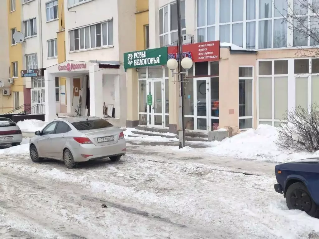 1-к кв. Белгородская область, Белгородский район, Северный городское ... - Фото 1