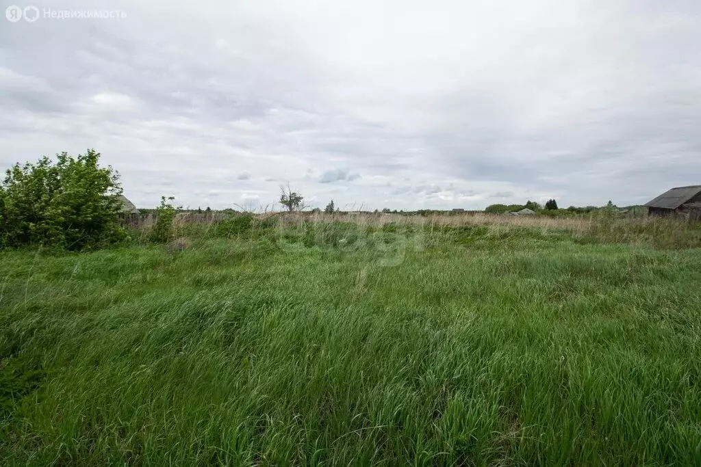 Участок в Тюменская область, Исетский муниципальный округ, посёлок ... - Фото 2