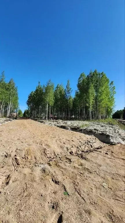 Участок в Санкт-Петербург, Санкт-Петербург, Павловск Павловское-1 СНТ, ... - Фото 1