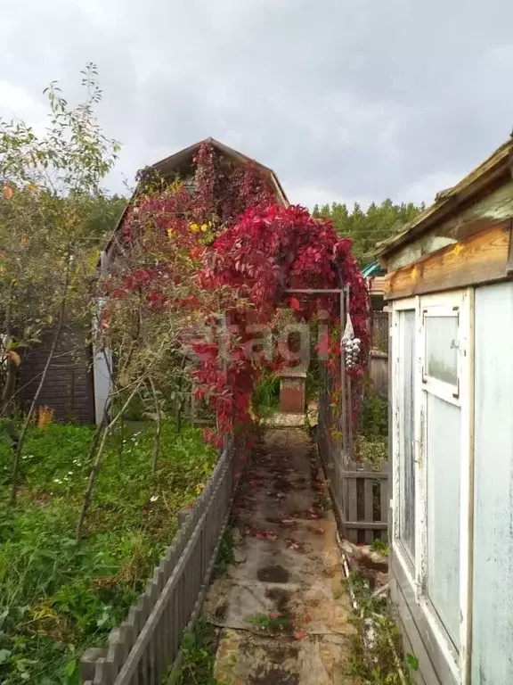 Дом в Курганская область, Кетовский муниципальный округ, Виктория СНО  ... - Фото 0