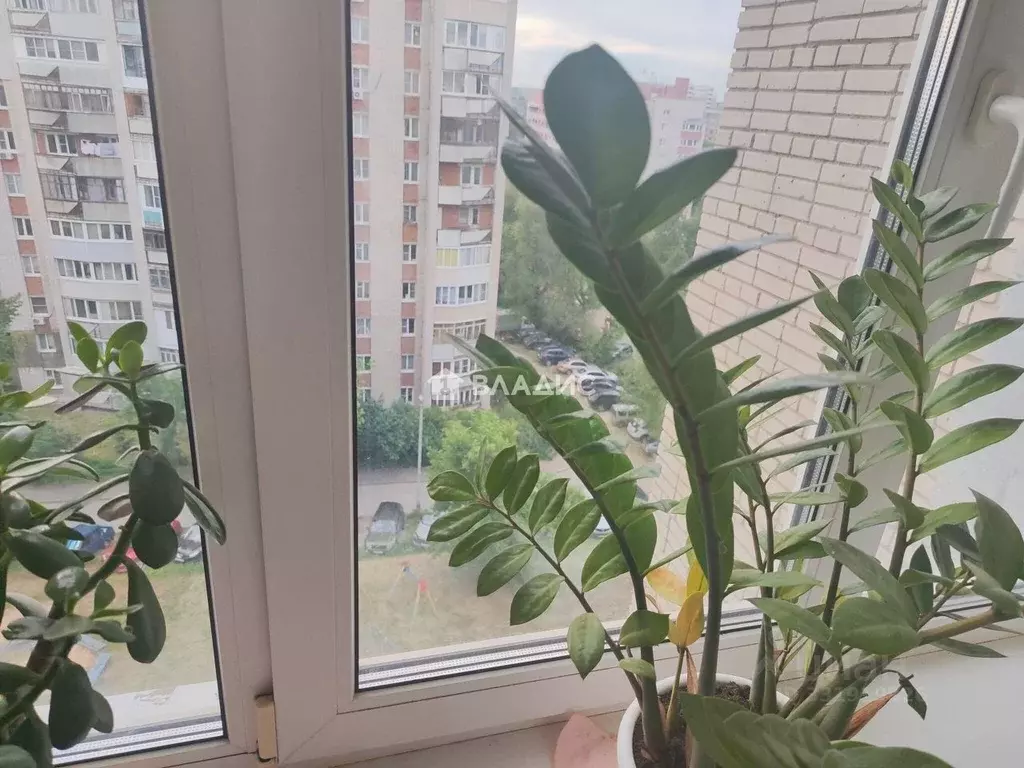 Комната Владимирская область, Владимир ул. Белоконской, 10 (16.3 м) - Фото 2