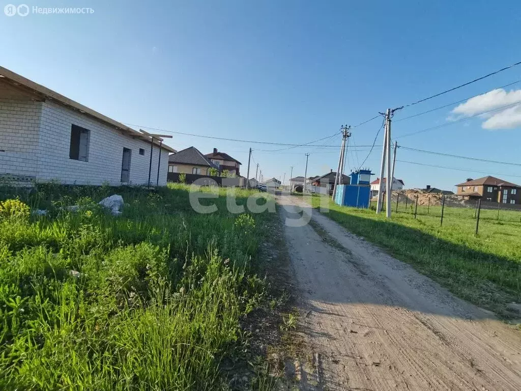 Участок в Брянский район, Снежское сельское поселение, село Толмачево ... - Фото 1