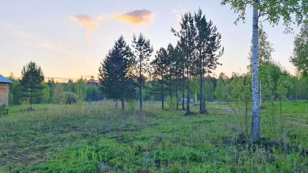 Участок в Томская область, Томский район, д. Кисловка ул. Надежды (9.1 ... - Фото 1