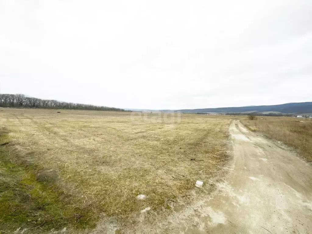 Участок в Краснодарский край, Новороссийск городской округ, ... - Фото 1