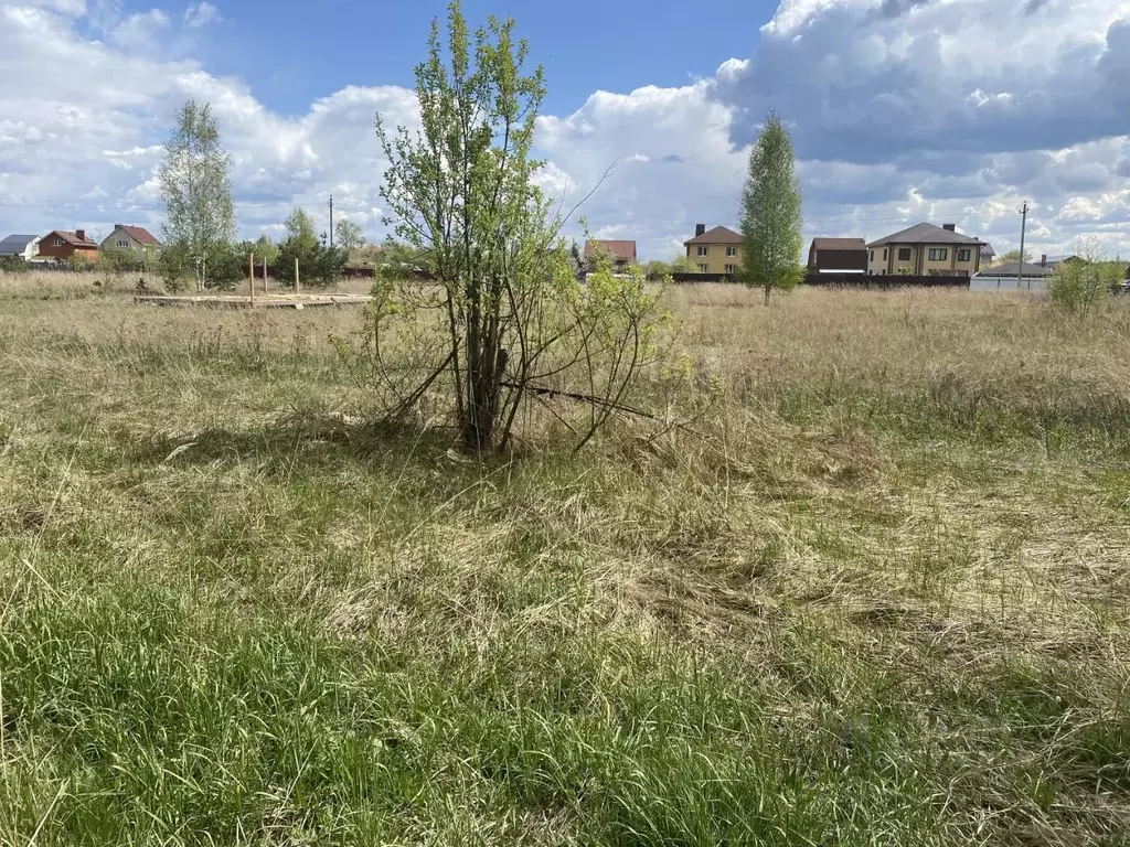 Участок в Московская область, Орехово-Зуевский городской округ, д. ... - Фото 1