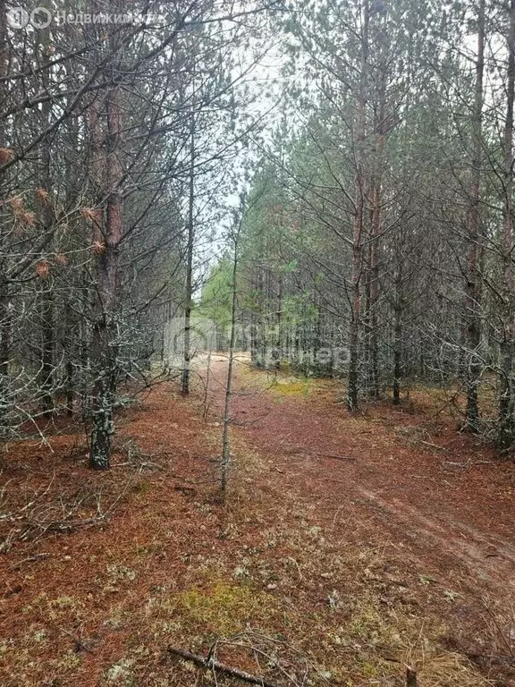 Участок в Лодейное Поле, Манинское Поле (9.75 м) - Фото 0