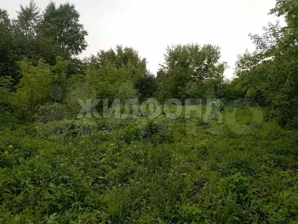 Участок 14,6 сот. (ИЖС) - Фото 1