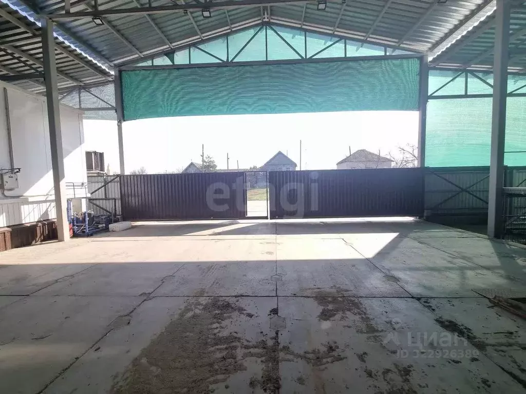 Склад в Волгоградская область, Среднеахтубинский район, Фрунзенское ... - Фото 1