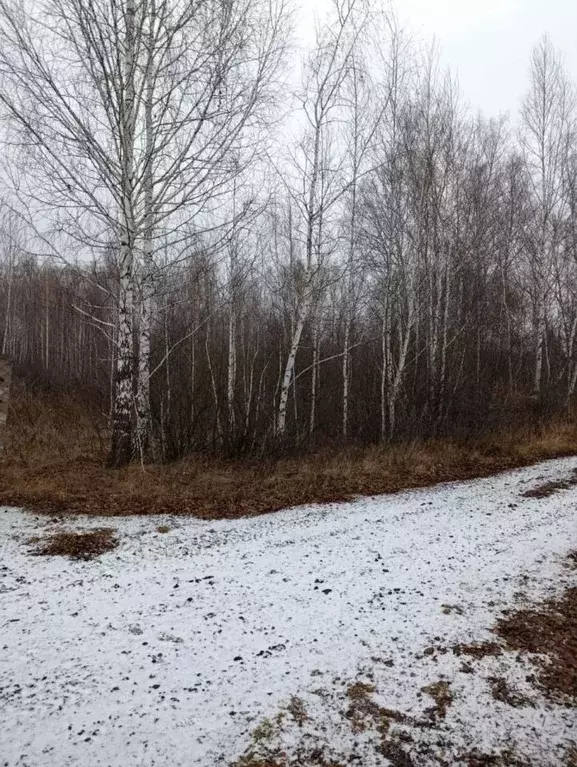 Участок в Челябинская область, Копейск Березка-4 СНТ, 518 (5.89 сот.) - Фото 1