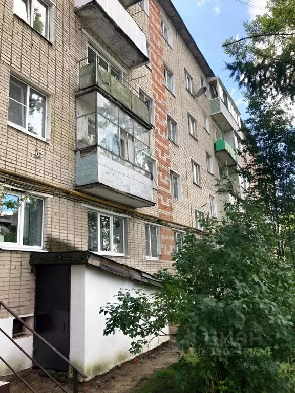 1-к кв. Владимирская область, Кольчугино ул. 50 лет Октября, 26 (29.0 ... - Фото 1