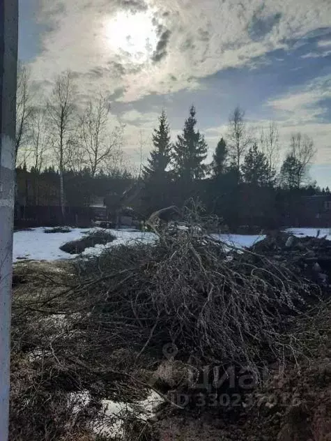 Участок в Московская область, Химки городской округ, д. Веревское  ... - Фото 1
