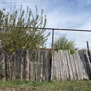 Участок в Челябинская область, Чебаркуль пос. Имени Куйбышева, ул. ... - Фото 1
