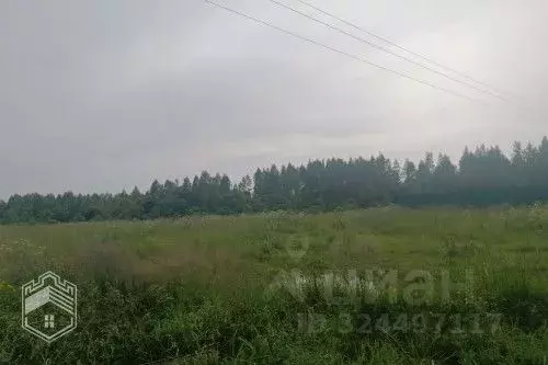 Участок в Новгородская область, Новгородский район, Савинское с/пос, ... - Фото 1