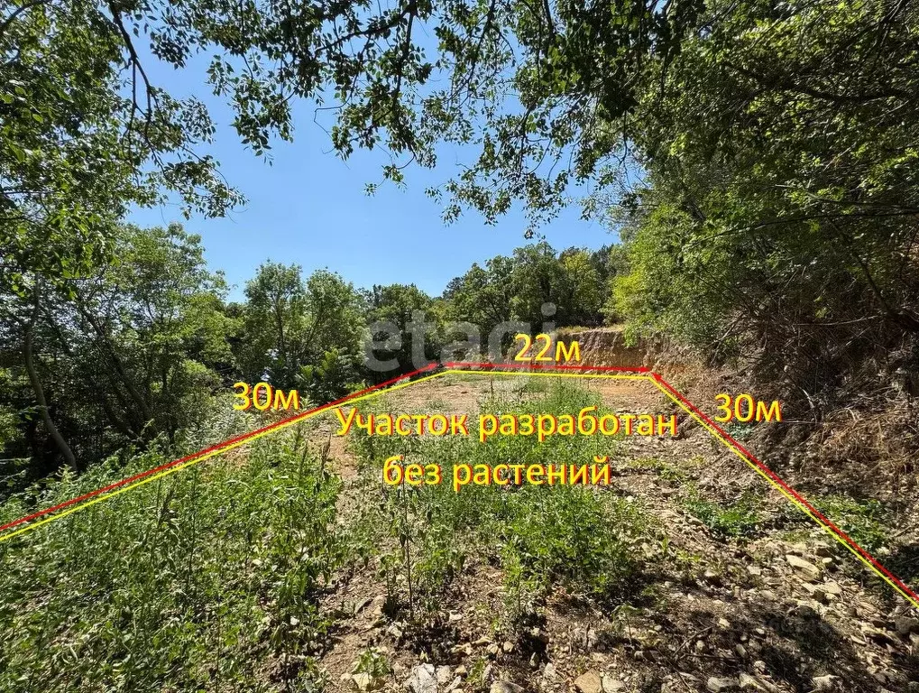 Участок в Крым, Ялта муниципальный округ, Голубой Залив пгт ул. ... - Фото 1