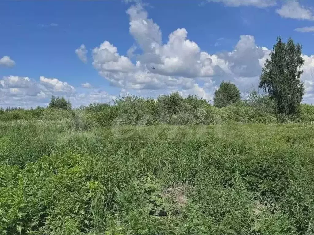 Участок 11 сот. (СНТ, ДНП) - Фото 1