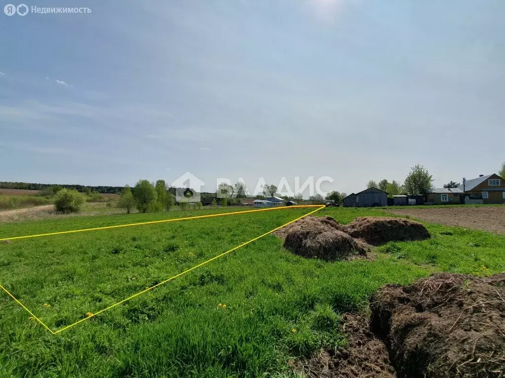 Участок в Вологодская область, Грязовецкий муниципальный округ, ... - Фото 1
