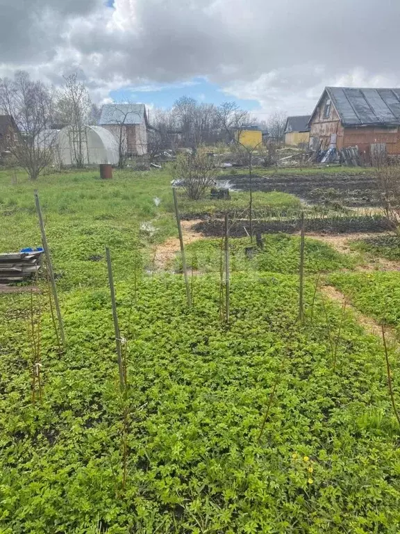 Дом в Вологодская область, Сокол Печаткино мкр,  (10 м) - Фото 1