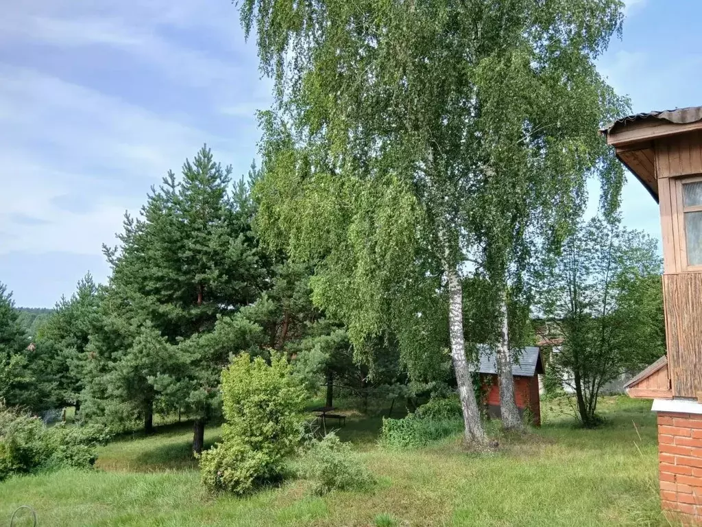 Участок в Московская область, Щелково городской округ, д. Вторая ... - Фото 2