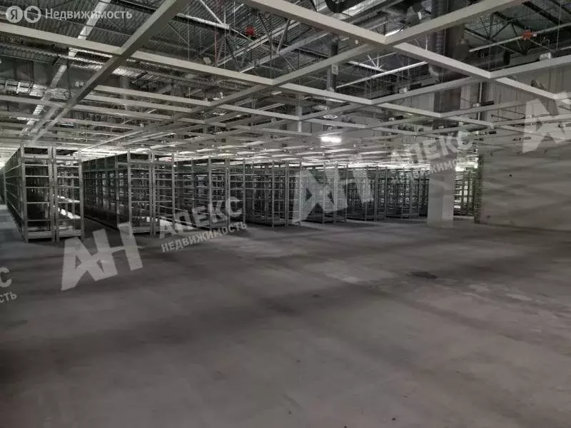 Помещение свободного назначения (5000 м) - Фото 2