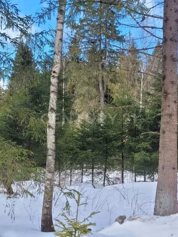 Участок в Ленинградская область, Ломоносовский район, Кипенское с/пос, ... - Фото 2