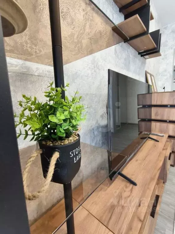 1-к кв. Амурская область, Благовещенский район, с. Чигири ул. ... - Фото 1