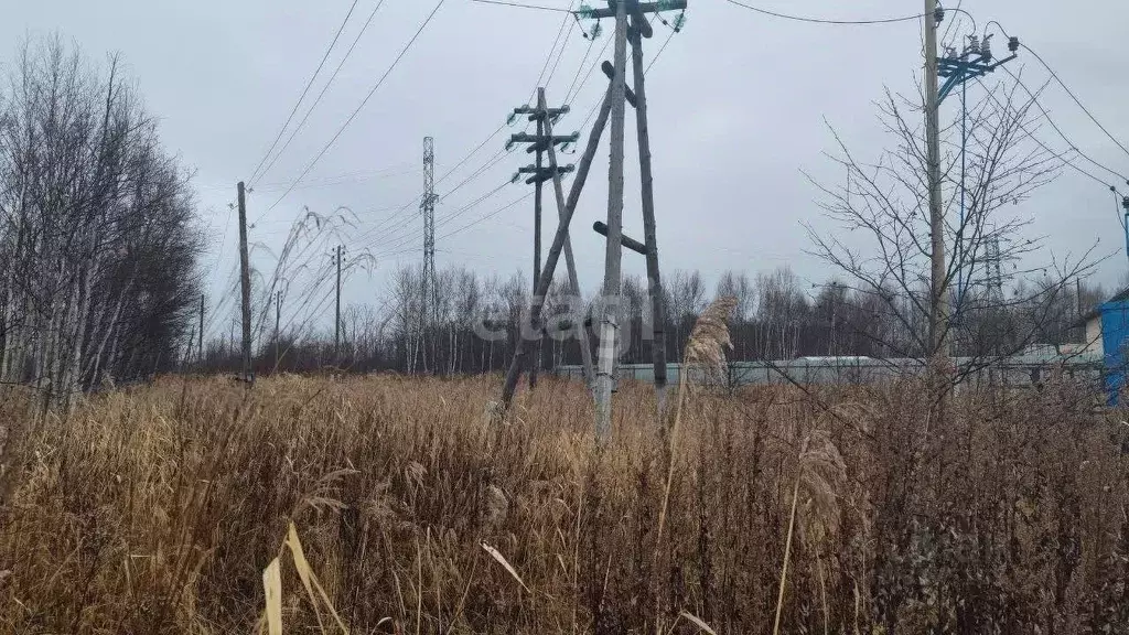 Участок в Сахалинская область, Анива  (12.1 сот.) - Фото 0