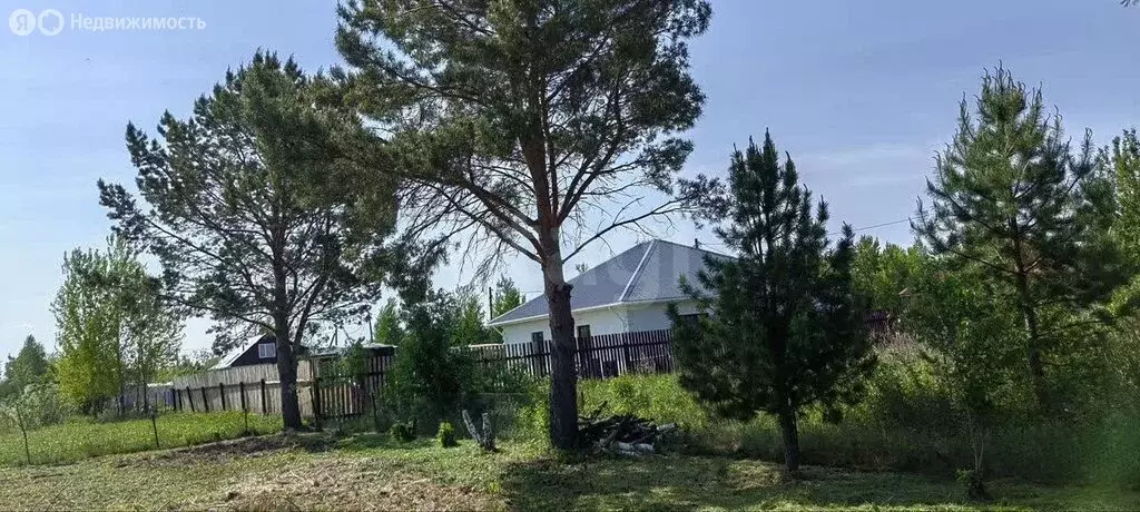 Участок в Тюменский район, СНТ Черёмушки-2, Новая улица (9.21 м) - Фото 1