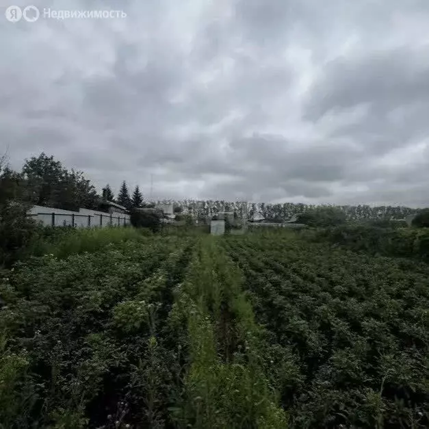 Участок в Стерлитамакский район, Казадаевский сельсовет, СНТ Ветеран ... - Фото 2