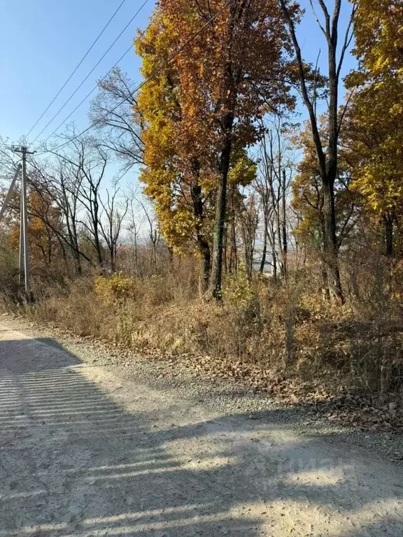 Участок в Приморский край, Артем ул. 1-я Рабочая (8.0 сот.) - Фото 1