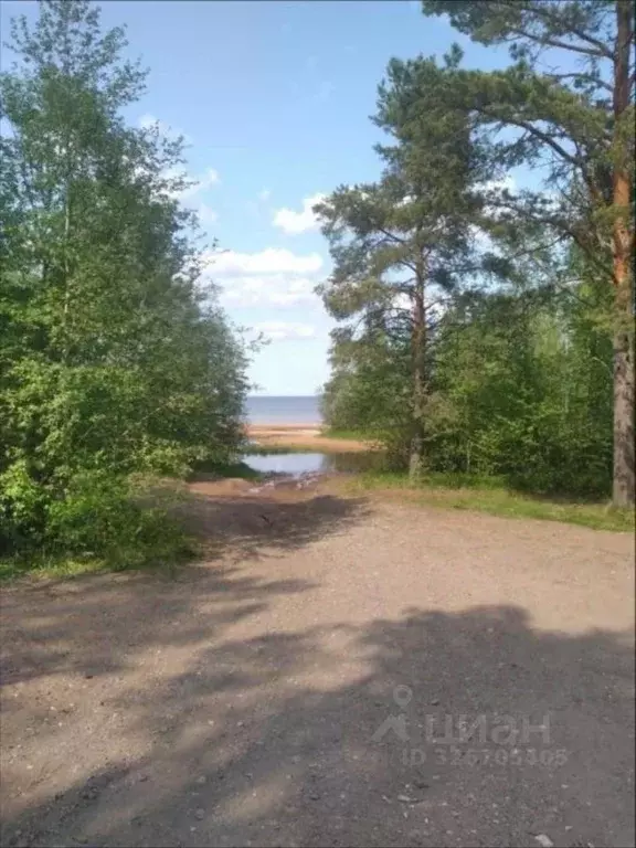 Участок в Ленинградская область, Приозерский район, Запорожское с/пос, ... - Фото 2