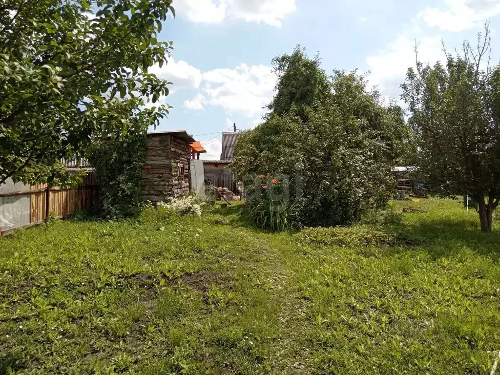 Участок в Курганская область, Курган Виктория ТСН,  (6.25 сот.) - Фото 1