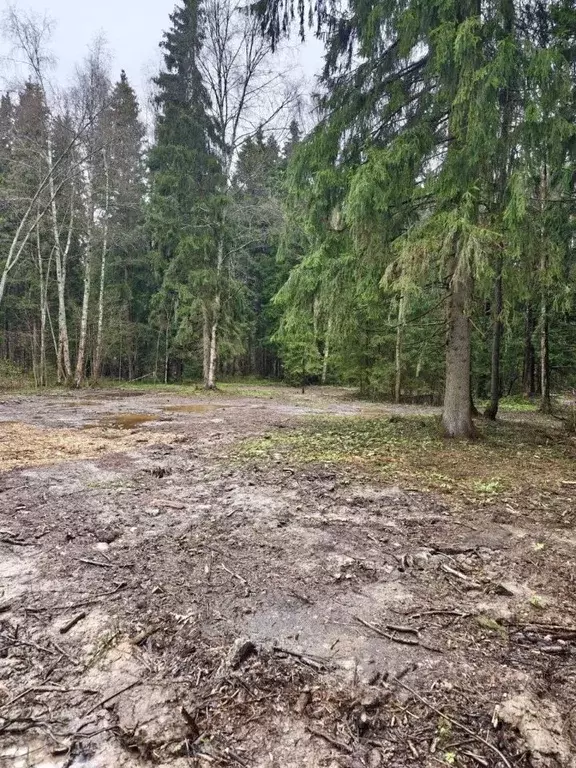 Участок в Московская область, Сергиево-Посадский городской округ, ... - Фото 2