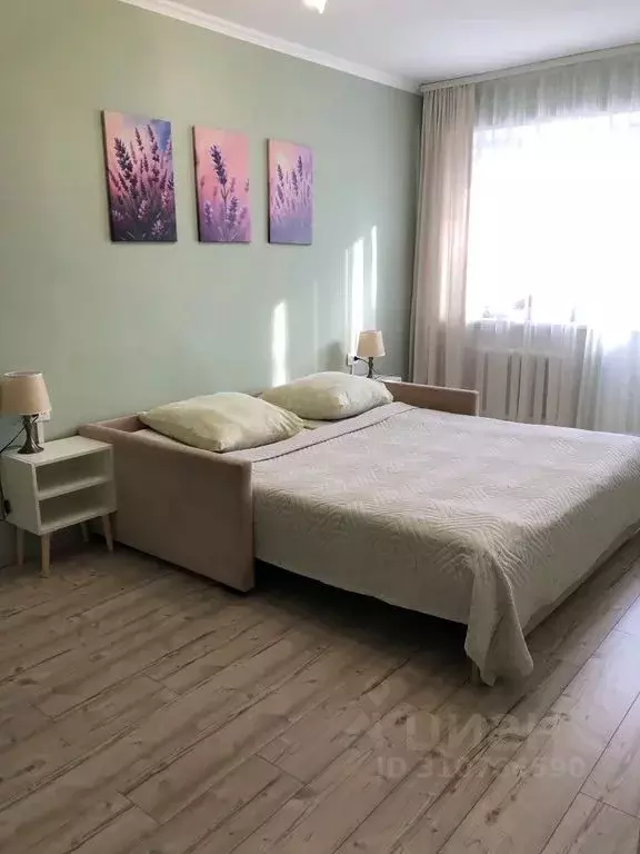 1-к кв. Псковская область, Псков Советская ул., 77А (30.0 м) - Фото 2