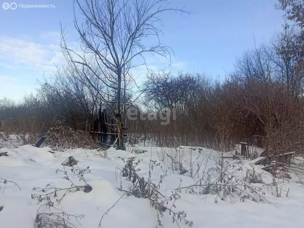 Участок в Давлекановский район, Поляковский сельсовет, село Дружба ... - Фото 1