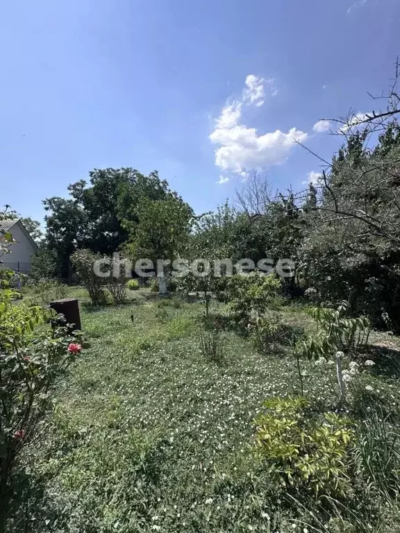 Участок в Севастополь Ветеран СТСН, ул. 5-я Персиковая (6.3 сот.) - Фото 2