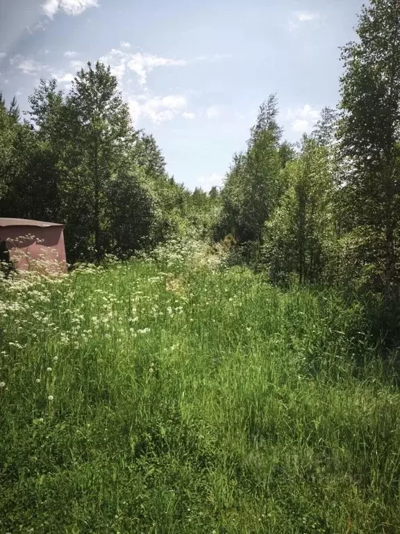 Участок в Ленинградская область, Тосненский район, Рябовское городское ... - Фото 2